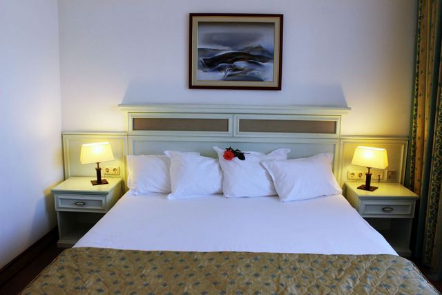 Park Hotel Royal Helena Palace - double room standard (single use)